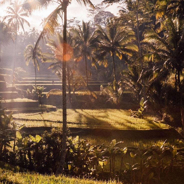 Outdoor terrace seating suitable for families in Berlin
